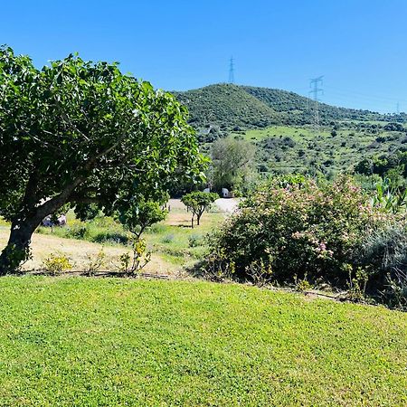 Finca Santa Teresa, Casa Granada 에스테포나 외부 사진