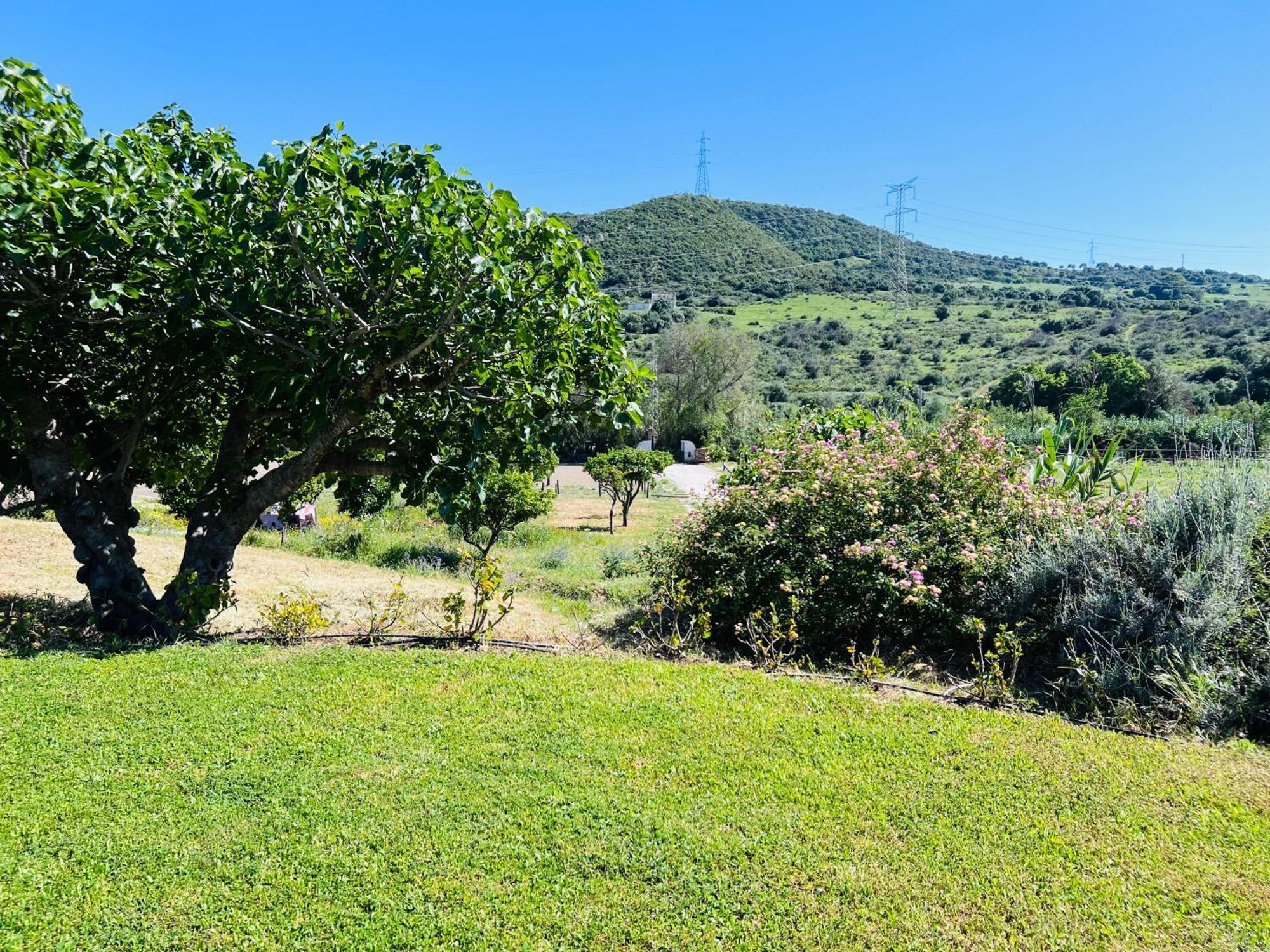 Finca Santa Teresa, Casa Granada 에스테포나 외부 사진